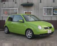  Lupo