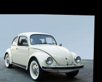  coccinelle